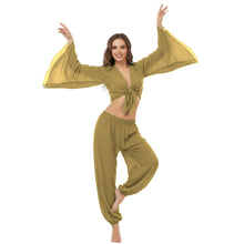 Ultimate Chiffon Belly Dance Costume Set (S-5XL) - 2PC Harem Pant & Ruffle Top | 30 Colors C29