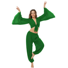 Ultimate Chiffon Belly Dance Costume Set (S-5XL) - 2PC Harem Pant & Ruffle Top | 30 Colors C29