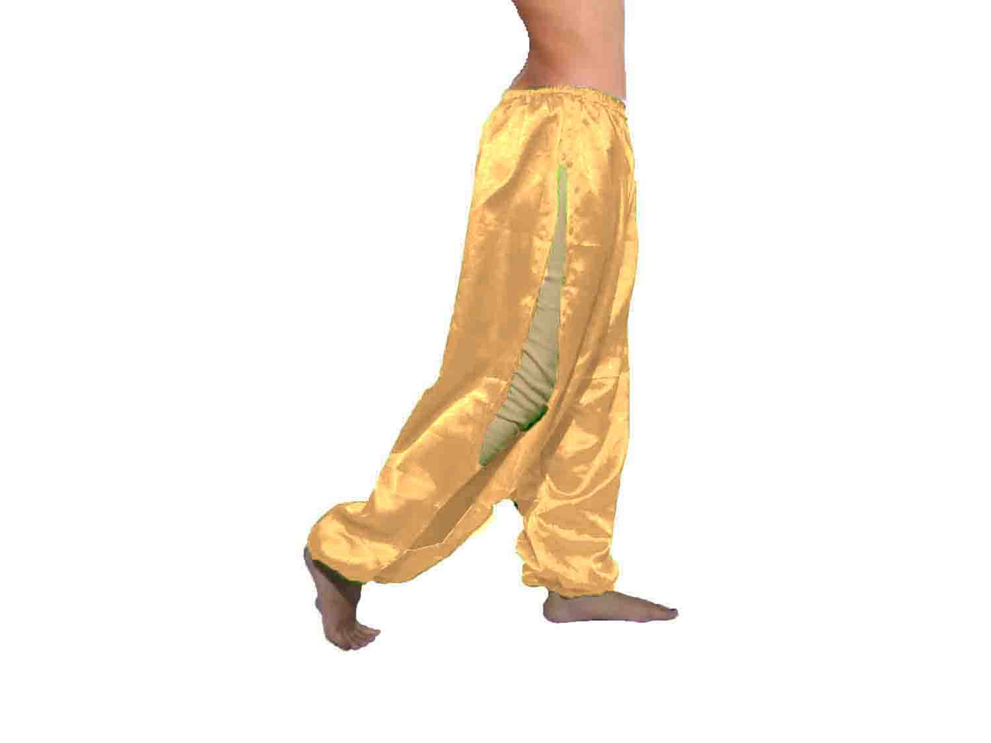 Satin Belly Dance Side Slit Harem S18  - Regular Size 1