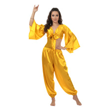 Satin Belly Dance Harem & Top Set | Full Costume S-3XL | 41 Colors S40