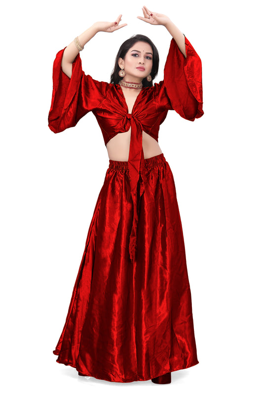 Satin Belly Dance Costumes Skirt Top Set S76-Regular Size 2
