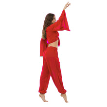 Ultimate Chiffon Belly Dance Costume Set (S-5XL) - 2PC Harem Pant & Ruffle Top | 30 Colors C29
