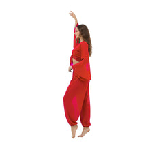 Ultimate Chiffon Belly Dance Costume Set (S-5XL) - 2PC Harem Pant & Ruffle Top | 30 Colors C29