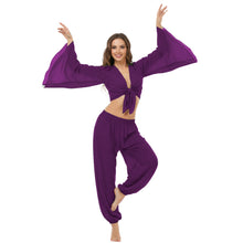 Ultimate Chiffon Belly Dance Costume Set (S-5XL) - 2PC Harem Pant & Ruffle Top | 30 Colors C29